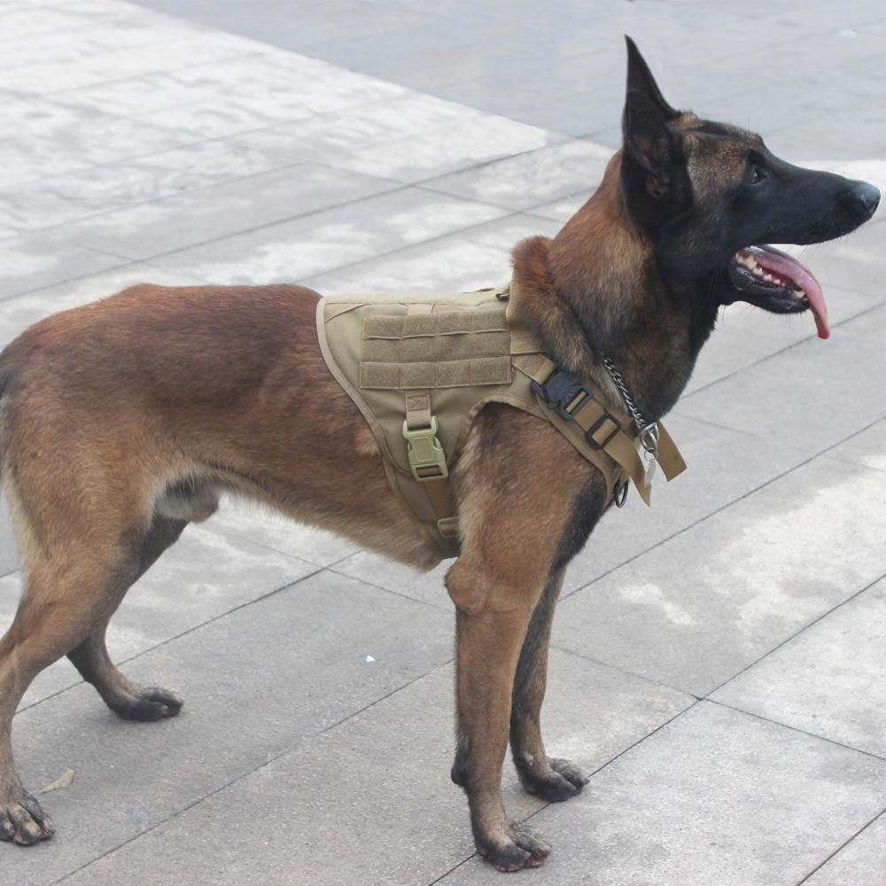 Alpha Six Tactical K9 Field Armor