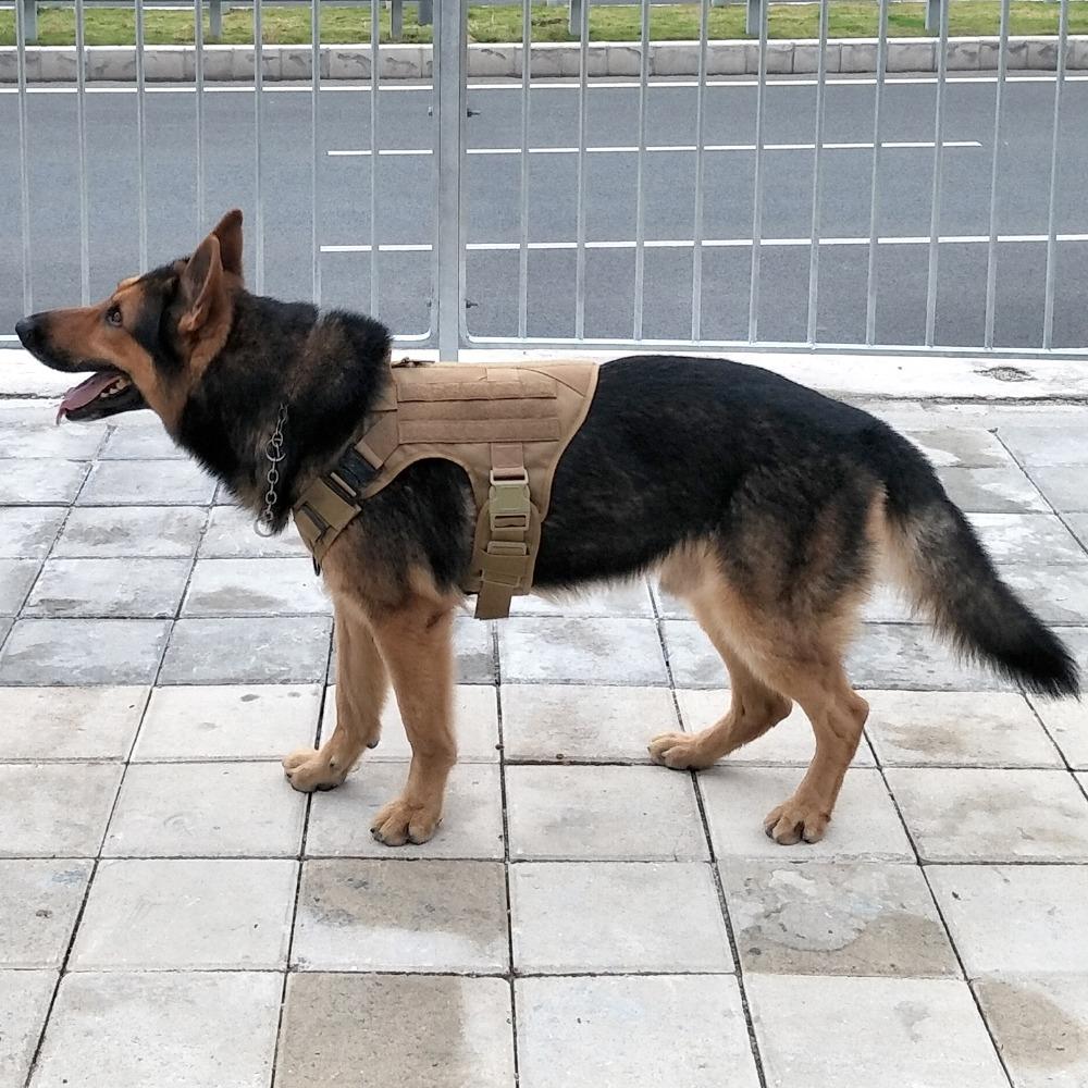 Alpha Six Tactical K9 Field Armor