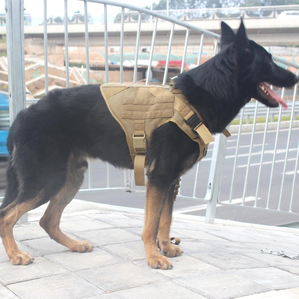 Alpha Six Tactical K9 Field Armor
