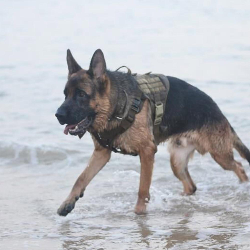 Alpha Six Tactical K9 Field Armor