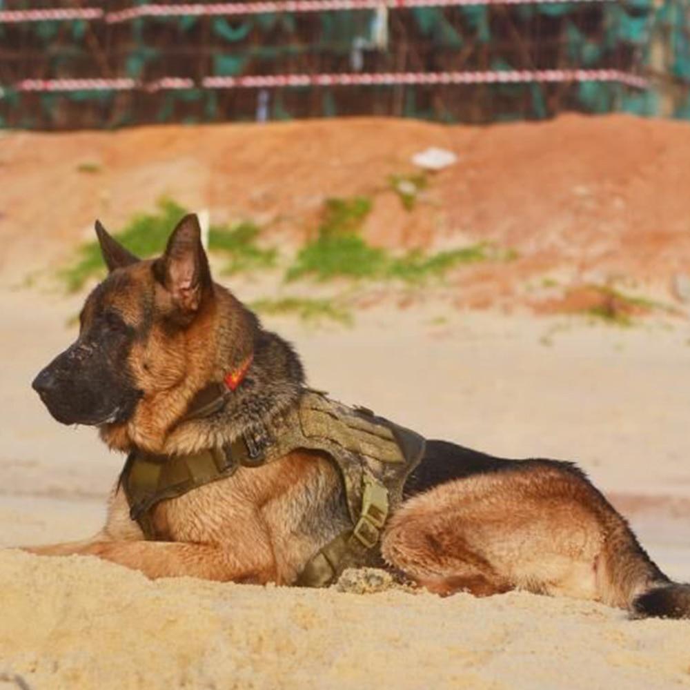 Alpha Six Tactical K9 Field Armor